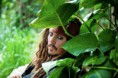 /album/piratas-del-caribe-navegando-aguas-misteriosas/a279268-10150263561763830-254445913829-7319925-2288339-o-jpg/